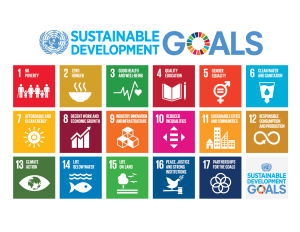 United Nations Sustainable Development Goals - UN SDGs